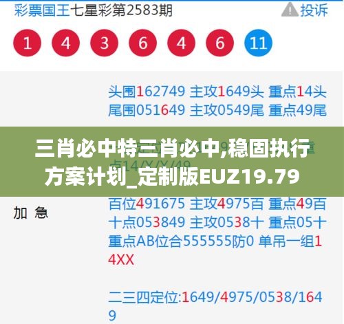 三肖必中特三肖必中,稳固执行方案计划_定制版EUZ19.79