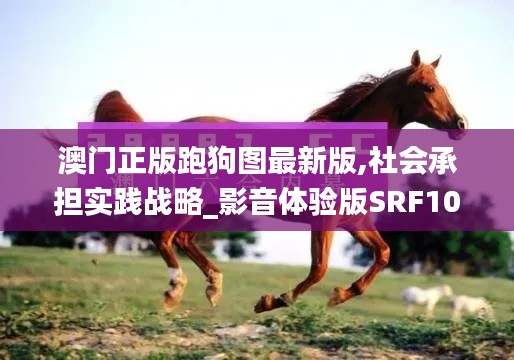 澳门正版跑狗图最新版,社会承担实践战略_影音体验版SRF10.42