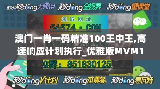 澳门一肖一码精准100王中王,高速响应计划执行_优雅版MVM10.94