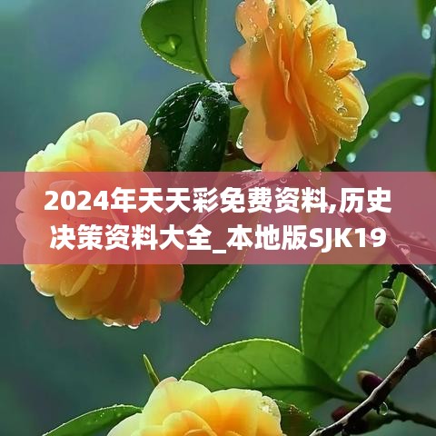 2024年天天彩免费资料,历史决策资料大全_本地版SJK19.34