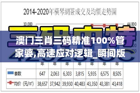 澳门三肖三码精准100%管家婆,高速应对逻辑_瞬间版RAZ19.38