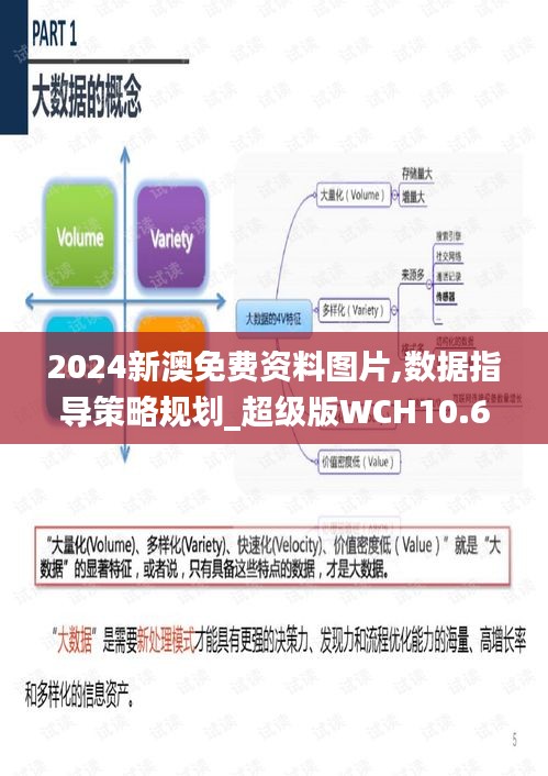 2024新澳免费资料图片,数据指导策略规划_超级版WCH10.66