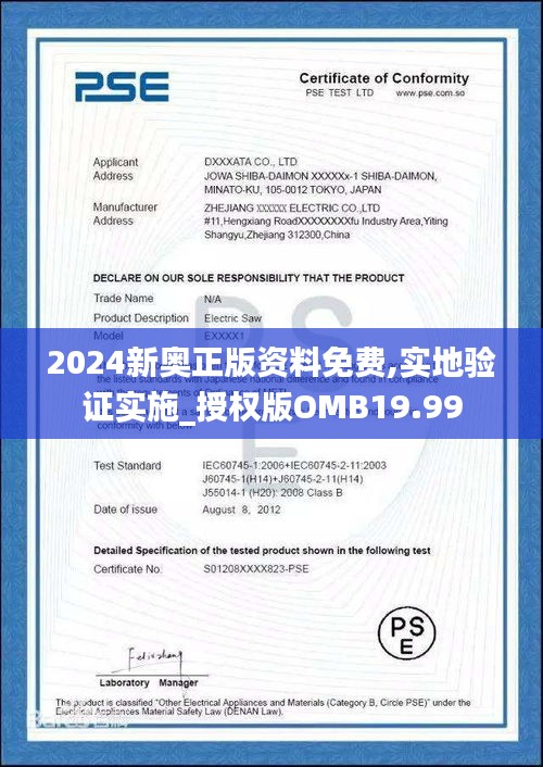 2024新奥正版资料免费,实地验证实施_授权版OMB19.99