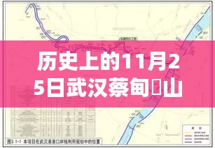 揭秘武汉蔡甸奓山新规划，历史上的重要时刻与未来展望