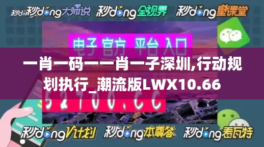 一肖一码一一肖一子深圳,行动规划执行_潮流版LWX10.66