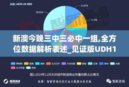 新澳今晚三中三必中一组,全方位数据解析表述_见证版UDH10.4