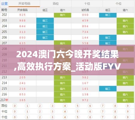 2024澳门六今晚开奖结果,高效执行方案_活动版FYV10.33