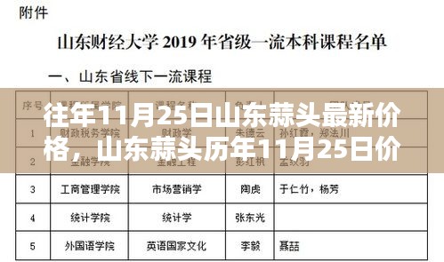 山东蒜头历年11月25日价格评析与全方位分析，特性、体验、竞品对比及用户群体洞察报告