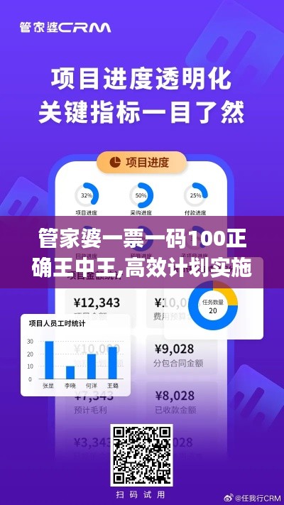 管家婆一票一码100正确王中王,高效计划实施_专属版DVM10.99