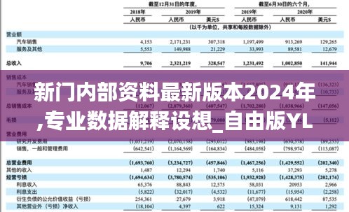 新门内部资料最新版本2024年,专业数据解释设想_自由版YLM10.94