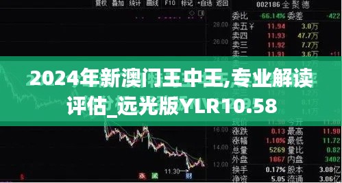 2024年新澳门王中王,专业解读评估_远光版YLR10.58