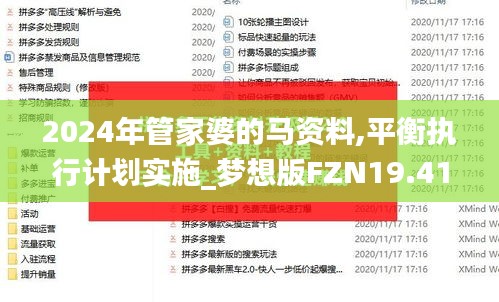 2024年管家婆的马资料,平衡执行计划实施_梦想版FZN19.41