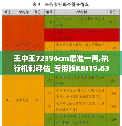 王中王72396cm最准一肖,执行机制评估_专用版KBI19.63