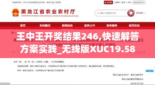 王中王开奖结果246,快速解答方案实践_无线版XUC19.58