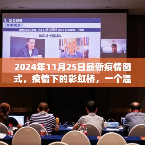 疫情下的彩虹桥，温馨日常与最新疫情图式报告（2024年11月25日）