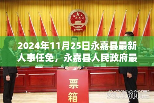 永嘉县人民政府最新人事任免通知（2024年11月25日更新）