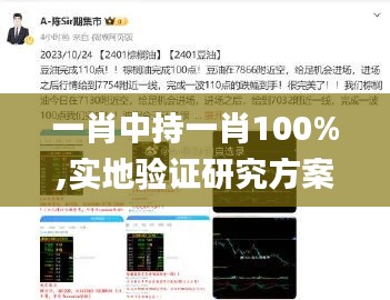 一肖中持一肖100%,实地验证研究方案_专业版BVQ19.75