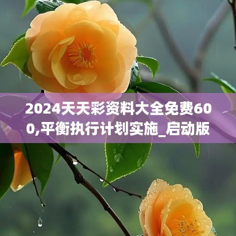 2024天天彩资料大全免费600,平衡执行计划实施_启动版APP10.83