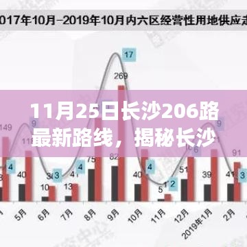 揭秘长沙206路公交新路线，智能导航革新出行体验，重塑城市脉络！