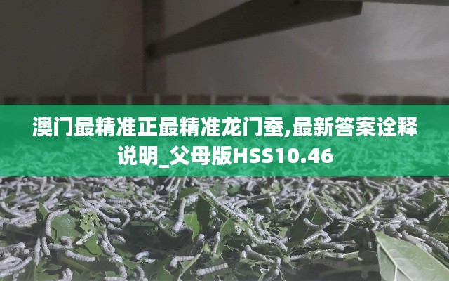 澳门最精准正最精准龙门蚕,最新答案诠释说明_父母版HSS10.46