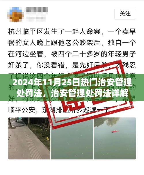 2024年11月25日热门治安管理处罚法，治安管理处罚法详解，2024年11月25日实用指南