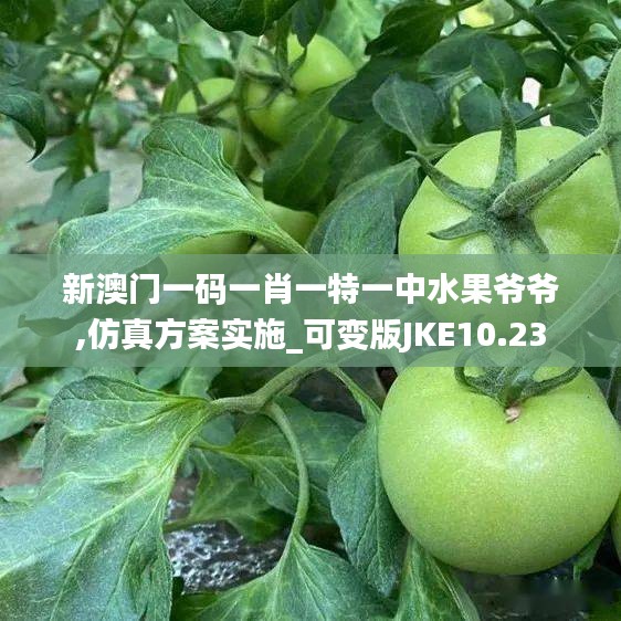 新澳门一码一肖一特一中水果爷爷,仿真方案实施_可变版JKE10.23