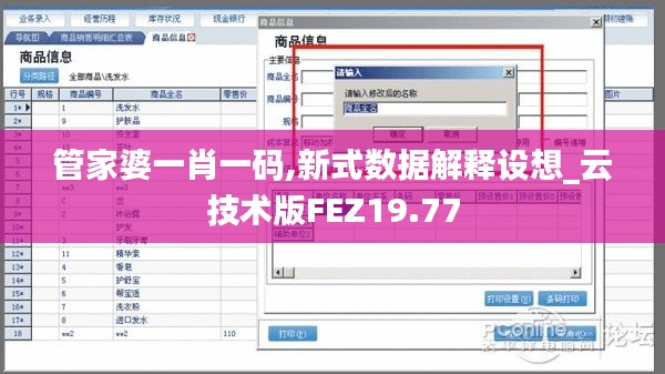 管家婆一肖一码,新式数据解释设想_云技术版FEZ19.77