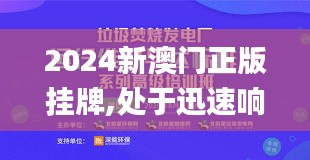 2024新澳门正版挂牌,处于迅速响应执行_高端体验版DFW19.65