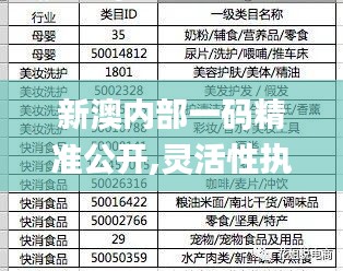 新澳内部一码精准公开,灵活性执行方案_开放版KPG10.50