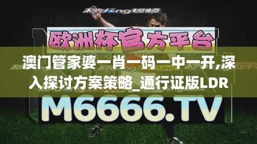 澳门管家婆一肖一码一中一开,深入探讨方案策略_通行证版LDR19.33