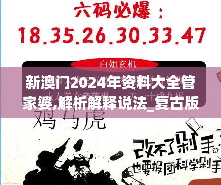 新澳门2024年资料大全管家婆,解析解释说法_复古版PDC19.15