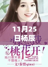 2024年11月 第180页