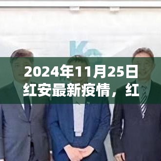 2024年11月25日红安地区最新疫情报告，深度解析与竞品对比的综合评测