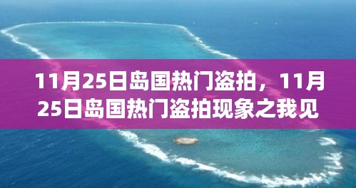 11月25日岛国热门盗拍现象探析，我的观点与见解