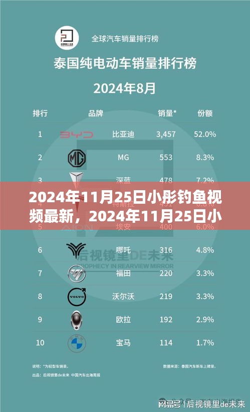 小彤垂钓新篇章，探索乐趣无限的垂钓世界（2024年11月25日最新体验视频）