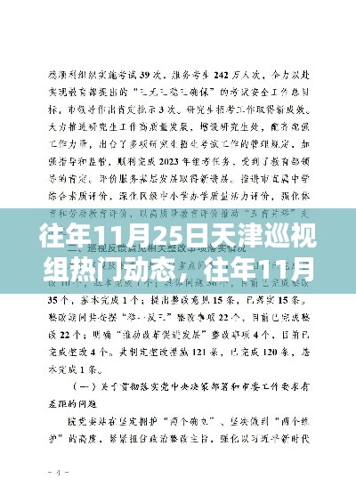 天津巡视组往年11月25日工作动态概览与热门动态分析