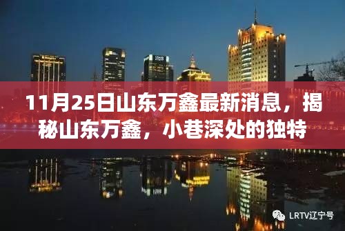 11月25日山东万鑫最新消息，揭秘山东万鑫，小巷深处的独特风味——一家隐藏版特色小店的最新故事