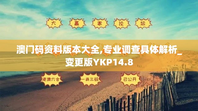 澳门码资料版本大全,专业调查具体解析_变更版YKP14.8