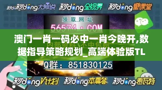 澳门一肖一码必中一肖今晚开,数据指导策略规划_高端体验版TLN14.30