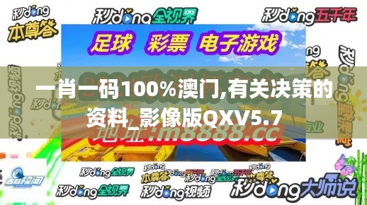 一肖一码100%澳门,有关决策的资料_影像版QXV5.7