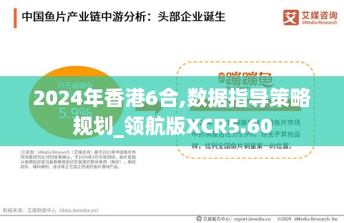 2024年香港6合,数据指导策略规划_领航版XCR5.60