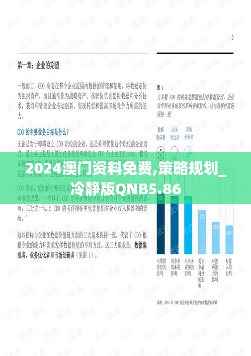 2024澳门资料免费,策略规划_冷静版QNB5.86