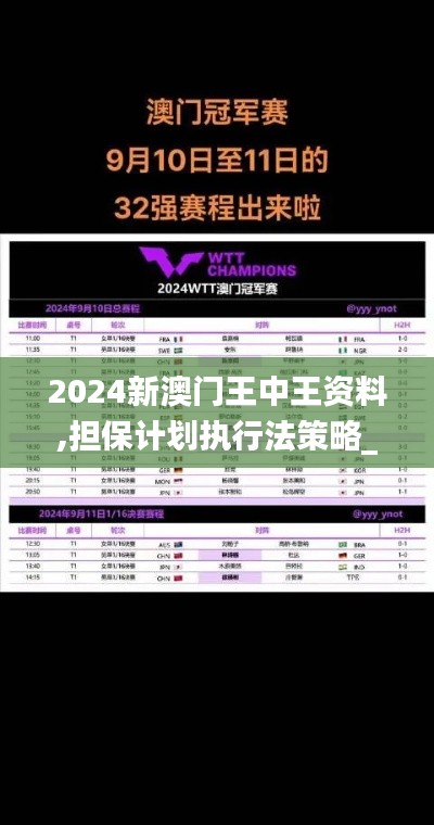 2024新澳门王中王资料,担保计划执行法策略_竞技版PQF14.38