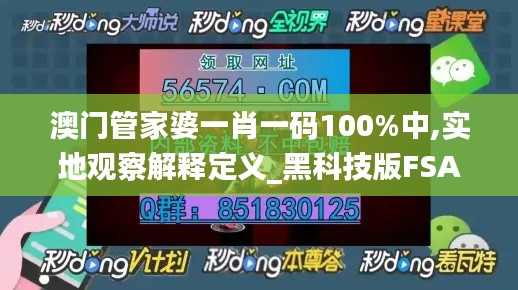 澳门管家婆一肖一码100%中,实地观察解释定义_黑科技版FSA14.90