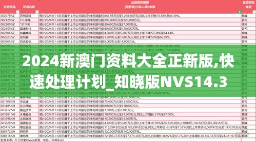 2024新澳门资料大全正新版,快速处理计划_知晓版NVS14.37