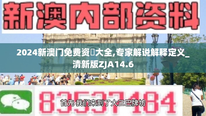 2024新澳门免费资枓大全,专家解说解释定义_清新版ZJA14.6