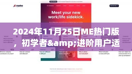 初学者与进阶用户适用的ME热门版使用教程大全，从入门到精通（2024年11月25日版）