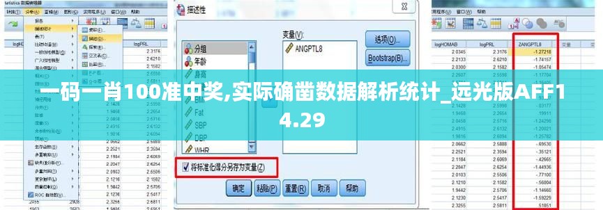 一码一肖100准中奖,实际确凿数据解析统计_远光版AFF14.29