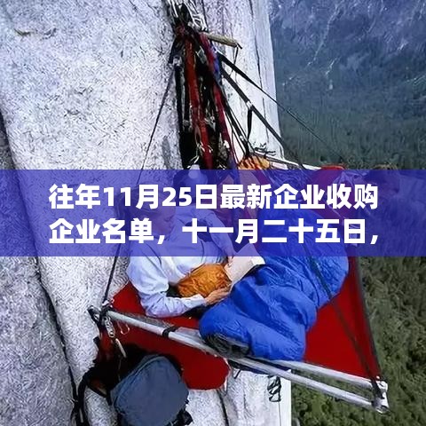 十一月二十五日的企业收购与自然探险之旅，一场心灵之旅的双重乐章