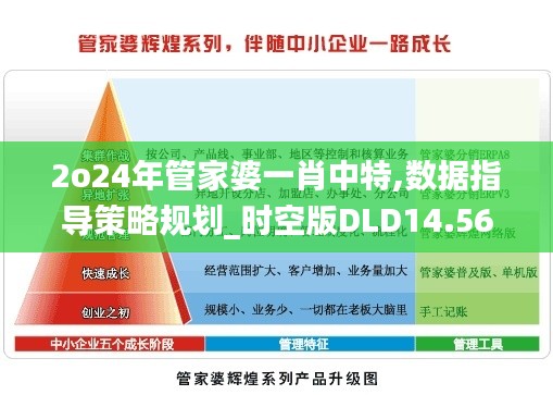 2o24年管家婆一肖中特,数据指导策略规划_时空版DLD14.56